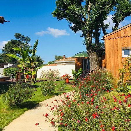 Les Petits Chalets De Kzo Ла Тест-де-Бух Екстериор снимка