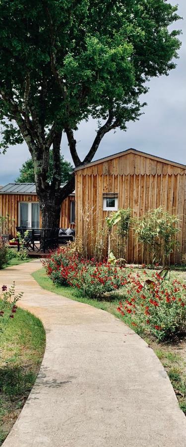 Les Petits Chalets De Kzo Ла Тест-де-Бух Екстериор снимка